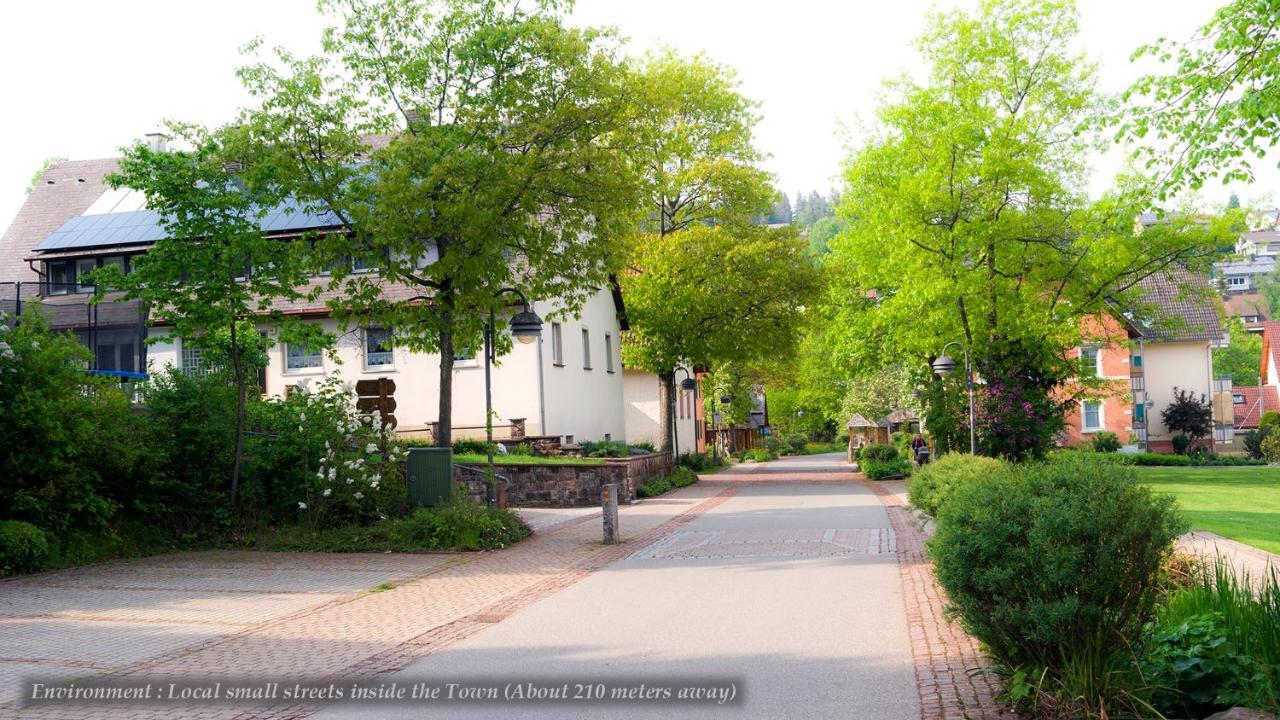 Entire House In Schwarzwald With Mountain View, Private Sauna, Gym, Garden And Terraces Unterkirnach Exterior foto
