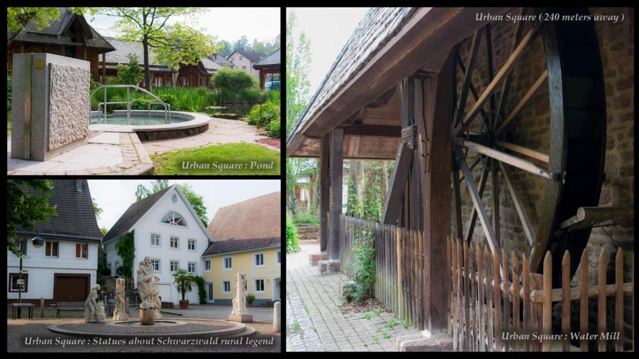 Entire House In Schwarzwald With Mountain View, Private Sauna, Gym, Garden And Terraces Unterkirnach Exterior foto