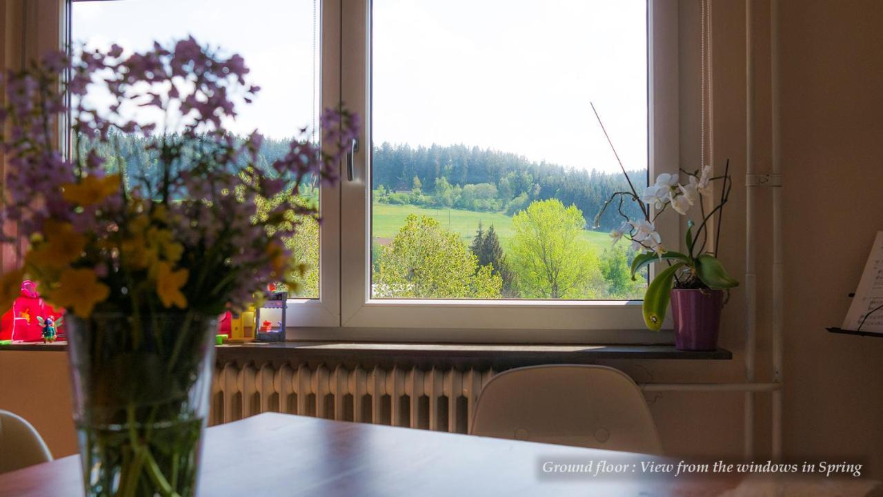 Entire House In Schwarzwald With Mountain View, Private Sauna, Gym, Garden And Terraces Unterkirnach Exterior foto